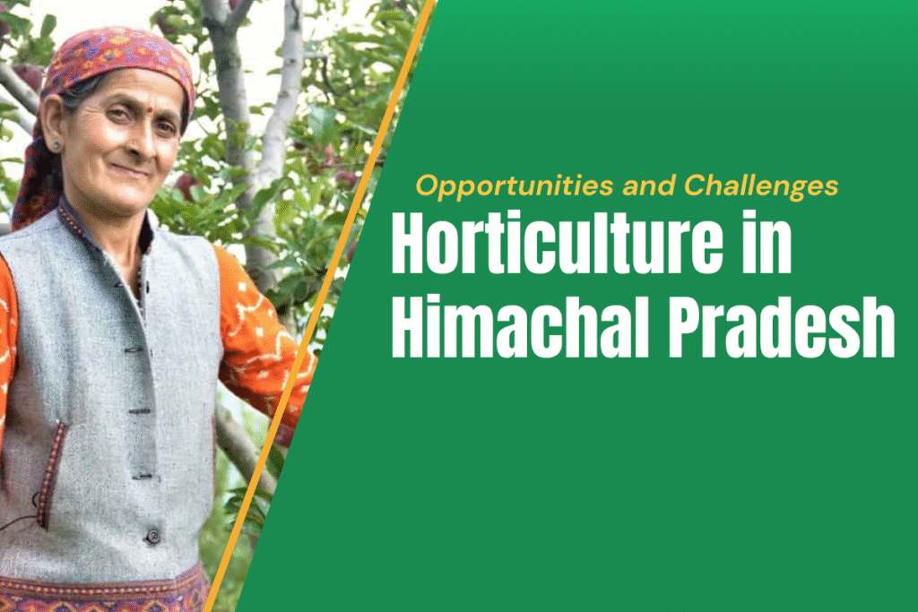 Horticulture in Himachal Pradesh: Opportunities and Challenges