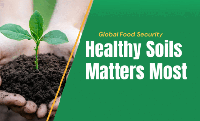 importance o healthy soil