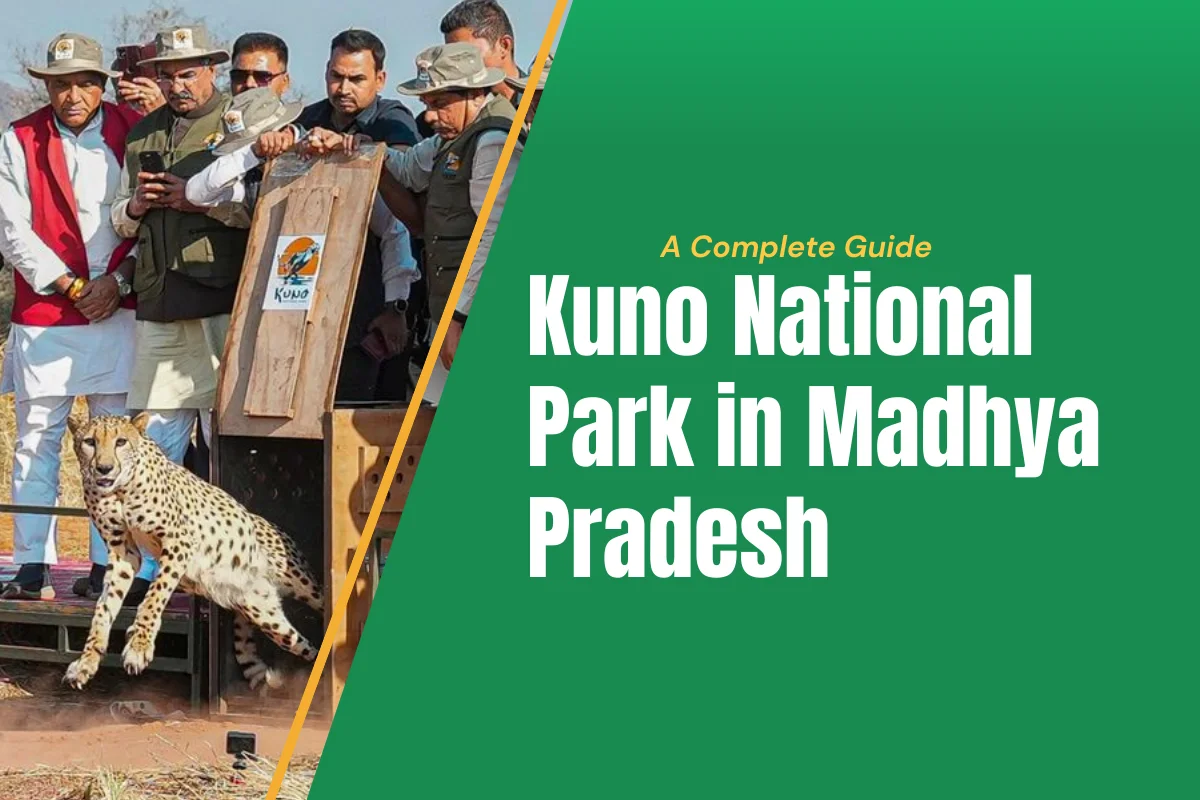 Kuno National Park