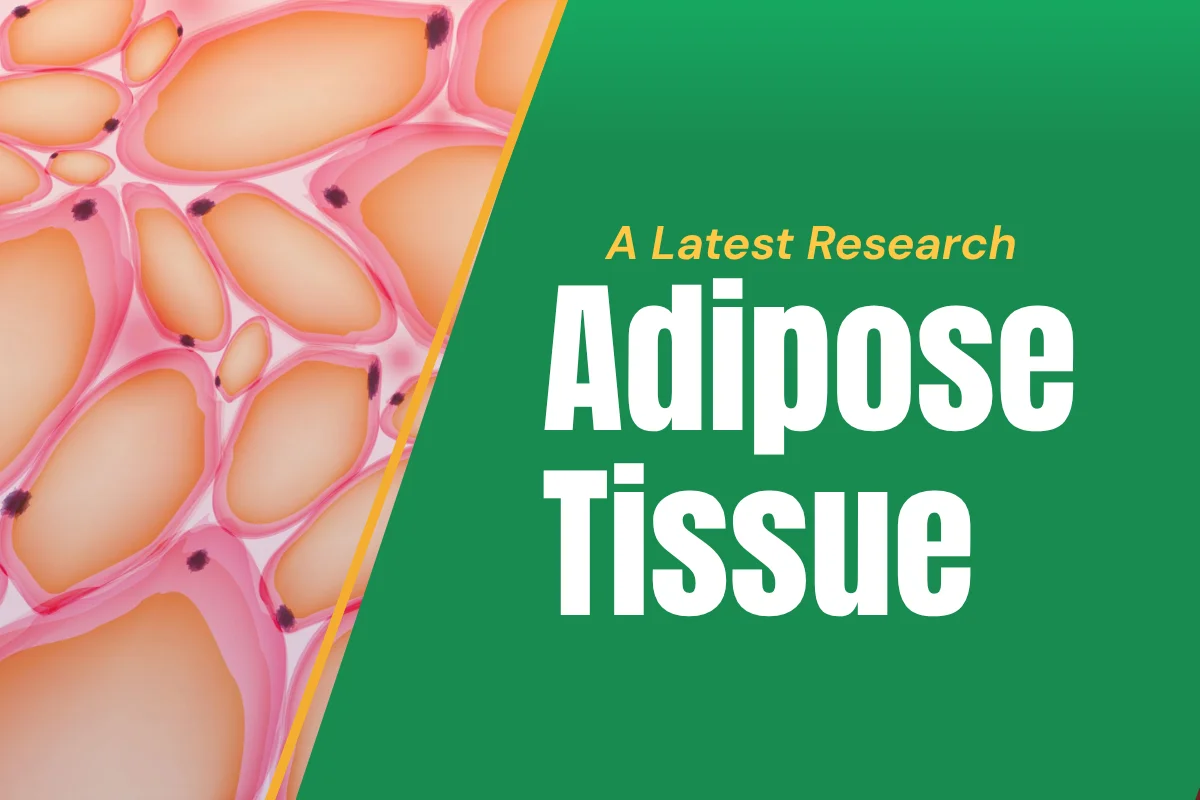 Adipose Tissue Latest Research 2025